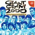 Cover: Giant Gram 2000: All-Japan Pro Wrestling 3