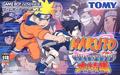 Cover: Naruto: Ninja Council