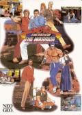 Cover: Art of Fighting 3