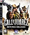 Cover: Call of Juarez: Bound in Blood