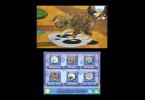 Purr Pals: -