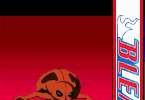 Bleach: The 3rd Phantom: -