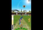 Freddie Flintoff's Power Play Cricket: -
