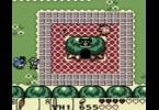 The Legend of Zelda: Link's Awakening DX: -