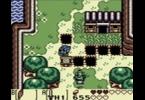 The Legend of Zelda: Link's Awakening DX: -
