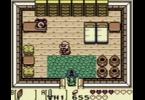 The Legend of Zelda: Link's Awakening DX: -