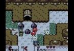 The Legend of Zelda: Link's Awakening DX: -