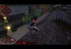 Shinobido 2: Revenge of Zen: -