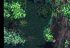 Tales of Phantasia: -